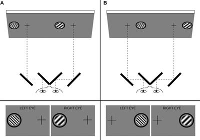 Relative Spatial Frequency Processing Drives Hemispheric Asymmetry in Conscious Awareness